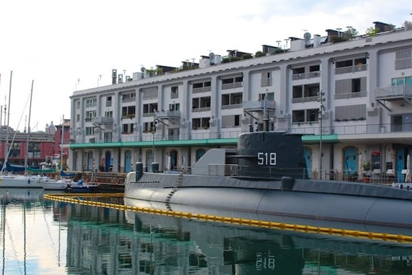 Comment organiser une croisière axée sur l'exploration des fonds marins avec un robot sous-marin télécommandé?